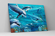 Obraz Plávajúce delfíny zs1225